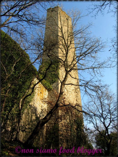 Torre Medievale 3