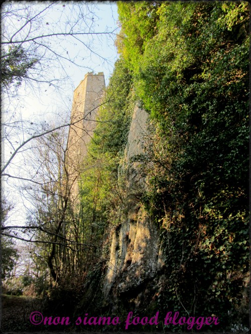 Torre Medievale 5